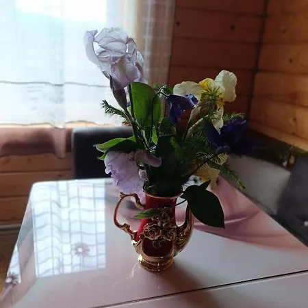 Guest House